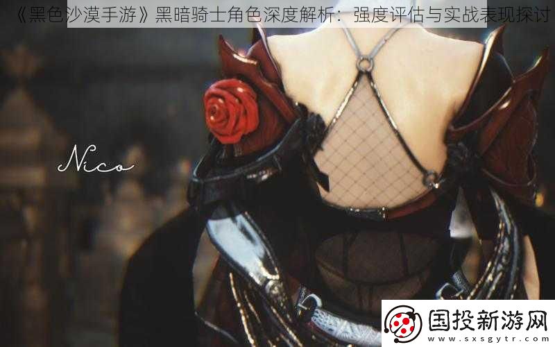 黑色沙漠手游黑暗騎士角色深度解析：強度評估與實戰(zhàn)表現(xiàn)探討