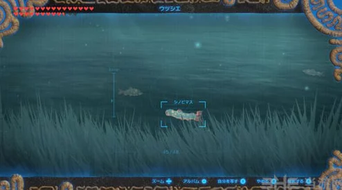 塞爾達傳說：曠野之息潛行鱒魚高效刷新點-抓取攻略與推薦水域指南
